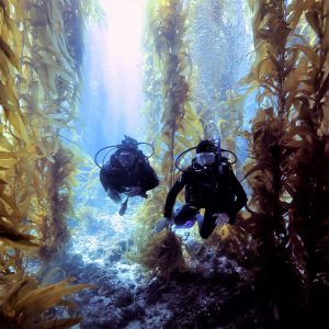 SCUBA During SCIII Boat Trip