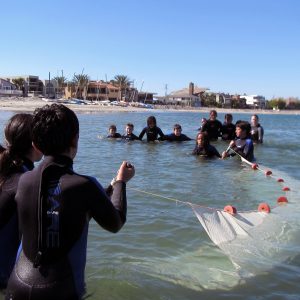 Seining at Mission Point with SEACAMP