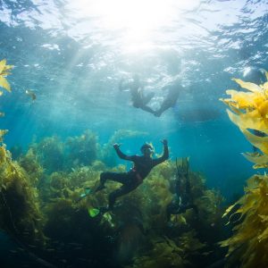 Live-Aboard Boat Trip Snorkel