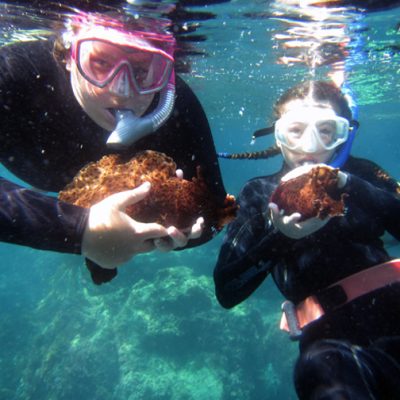 Snorkeling During SCIII Boat Trip