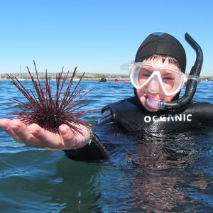 Snorkeling at Mission Point