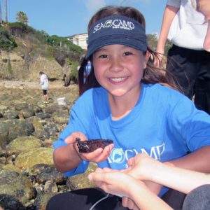 Tidepool Exploration