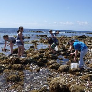 Tidepool Exploration with SEACAMP