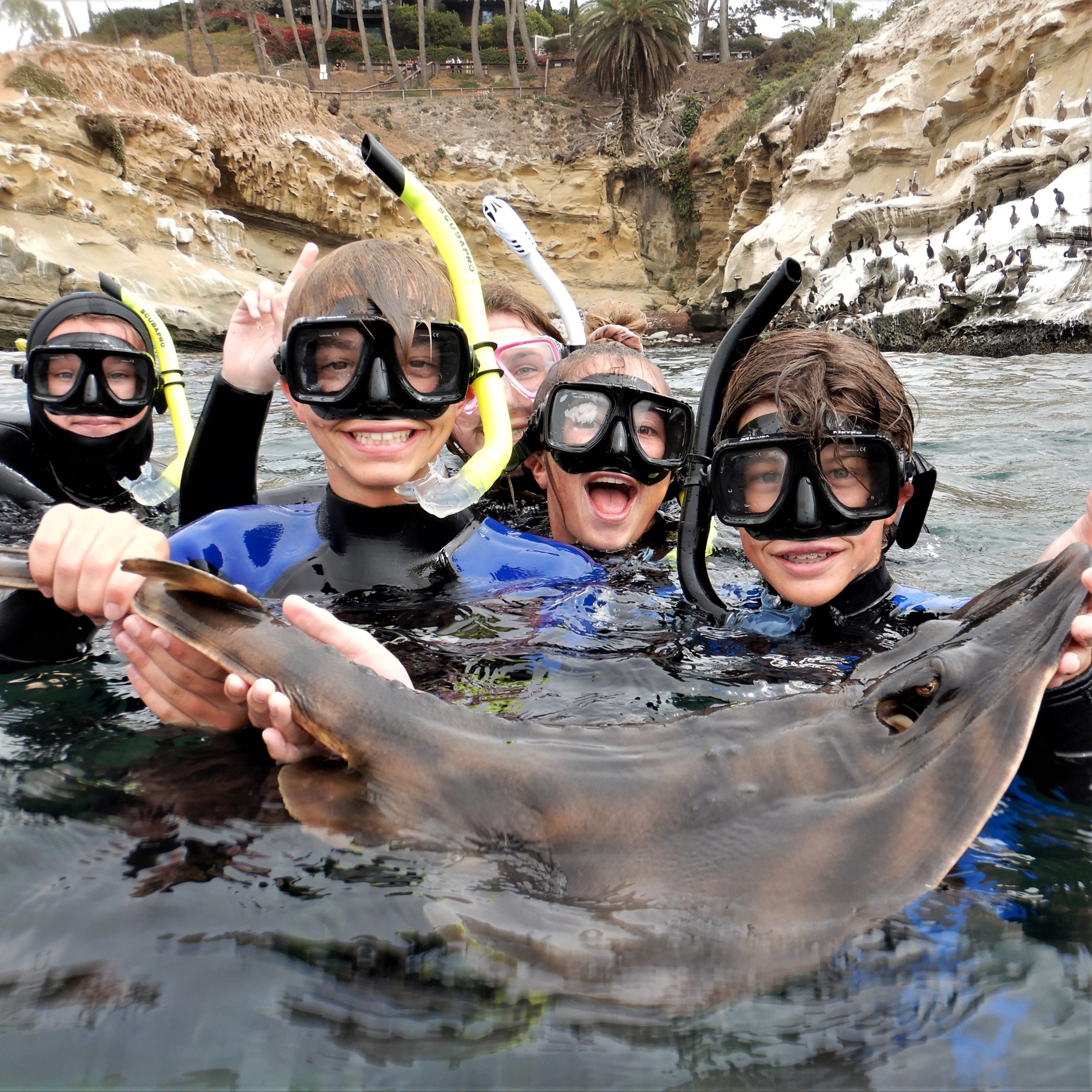 LJ Cove Snorkel