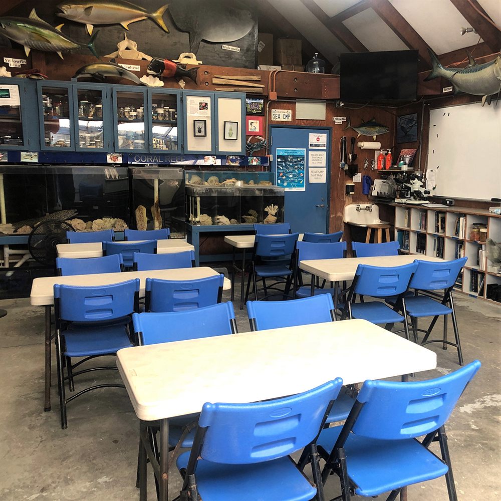 Camp Classroom